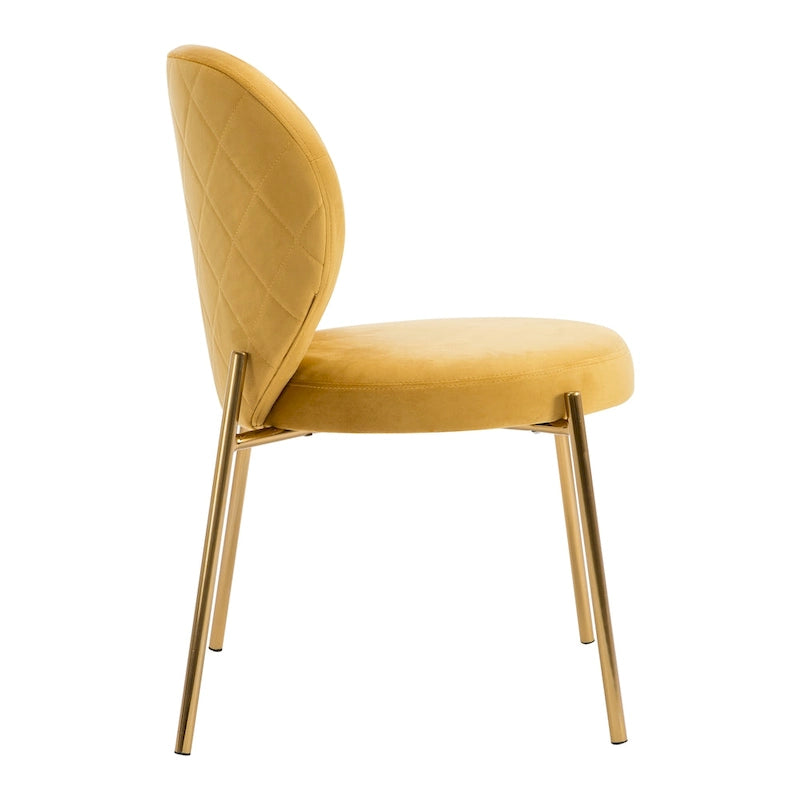 Chaises de salle à manger en velours Petites chaises d'appoint mignonnes
